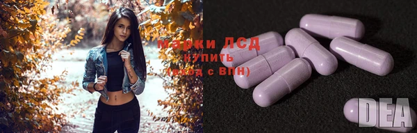 круглые Аркадак